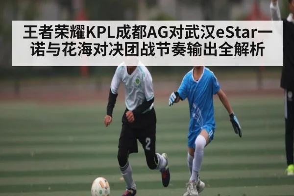 王者荣耀KPL成都AG对武汉eStar一诺与花海对决团战节奏输出全解析 - Kaiyun sports